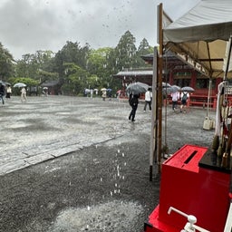 画像 大雨の鶴岡八幡宮は空いていた！ の記事より 10つ目