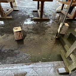 画像 大雨の鶴岡八幡宮は空いていた！ の記事より 12つ目