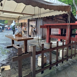 画像 大雨の鶴岡八幡宮は空いていた！ の記事より 11つ目