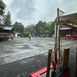 画像 大雨の鶴岡八幡宮は空いていた！ の記事より 9つ目