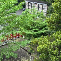 画像 大雨の鶴岡八幡宮は空いていた！ の記事より 5つ目