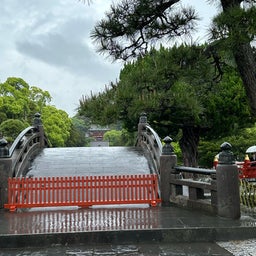 画像 大雨の鶴岡八幡宮は空いていた！ の記事より 1つ目