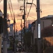 村上春樹、宇多田ヒカル、藤圭子さん、小澤征爾さん、「点と線」