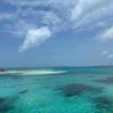 宮古ブルーに魅せられて②堤防から見えるニモと珊瑚礁　小判鮫背負った海亀