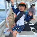 石垣島の釣り船屋さん>* ))))><【ファミリーフィッシング悠】のブログ