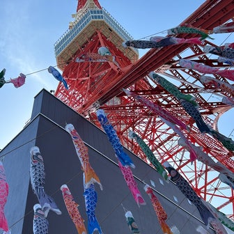 ♪【港区①】恒例企画！東京タワーと333匹のこいのぼり・さんまのぼり♪