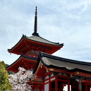 推し活の付き添い ⑥京都編の画像