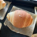 千歳烏山、千歳船橋、成城【encore bread 天然酵母パン教室】