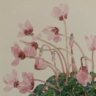 植物の不思議・星野富弘さんの詩画