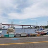 三崎港と三崎マグロと城ヶ島の画像
