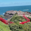 #絶景スポット　日本海へ向かう赤い鳥居とデトックス