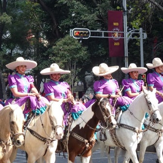 メキシコ革命記念日　パレードを見学
