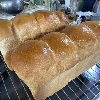 ルバン種を入れて食パンを焼きました