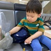2歳児息子とワンオペ新幹線帰省