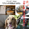 スタバにワンちゃん用メニュー日本に1店舗　犬パン『カーネ フォカッチャ』　¥240　の画像