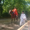 20240503 京都・下鴨神社 糺の森・騎射 流鏑馬の儀①の画像