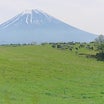 Mt.FUJI 100 2024☆レポ③