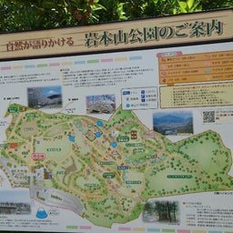 画像 【富士】広大な茶畑と富士山〜岩本山公園 の記事より 1つ目
