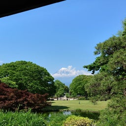 画像 【富士】バラと富士山の見える公園〜富士市中央公園 の記事より 11つ目