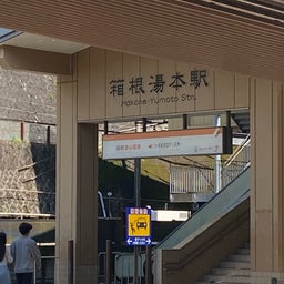 画像 連休５・６日目　箱根湯本へ　#旅の思い出を語りたい の記事より 1つ目