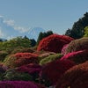 三菱岩崎の元別荘の箱根山ホテル、躑躅と富士の庭園の画像