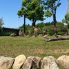 【GW】動物園へ　〜ズーラシア〜の画像