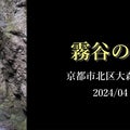 tanukiの滝めぐり ブログ