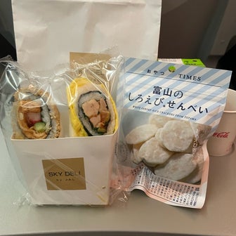 韓国からの帰国【JAL機内食】