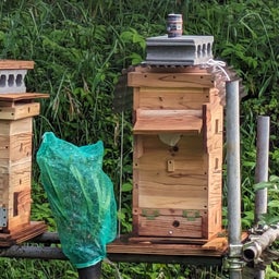 画像 勤務に農作業～ミツバチ の記事より 4つ目