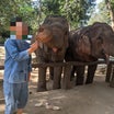 2023年11月 ルアンパバーン　象使いの免許取得だゾウ？　先ずは座学から。