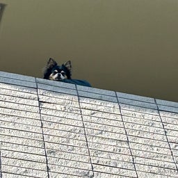 画像 チークの続きでナチュラルに♪もたつきフェイスラインを掘り起こす の記事より 4つ目
