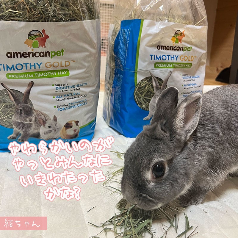 Apd Rabbit Hay 愛兎ちゃん好みのAPDゴールドヘイはどっち? | ココロのおうち 軟式ブログ