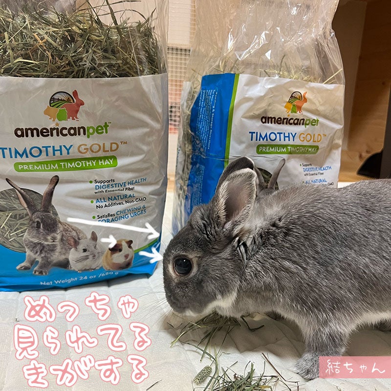 Apd Rabbit Hay 愛兎ちゃん好みのAPDゴールドヘイはどっち? | ココロのおうち 軟式ブログ