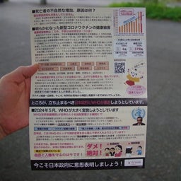 画像 『パンデミック条約』反対デモ5月26日　レポート の記事より 23つ目