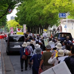 画像 『パンデミック条約』反対デモ5月26日　レポート の記事より 16つ目
