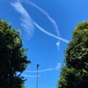 気になって仕方ないじゃないか！の画像