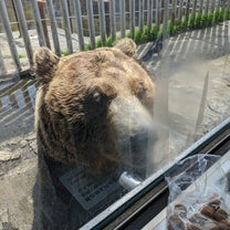 ブログ投稿画像