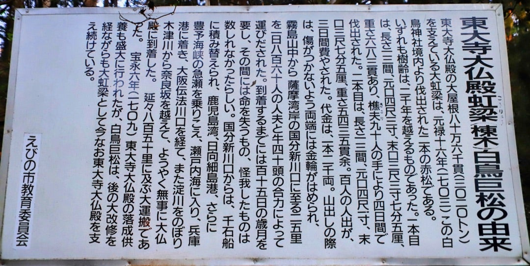 宮崎】生き残った樹齢500年の御神木『白鳥神社』でいただいた