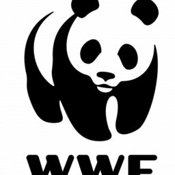 画像 募金をしていない動物愛護団体からのギフト の記事より 4つ目