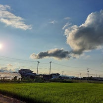ブログ投稿画像