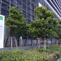 画像 台場 の記事より 5つ目