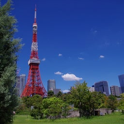 画像 タワー の記事より 1つ目