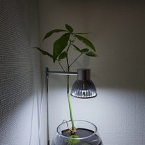 ブログ投稿画像