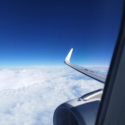 画像 〇〇〇の凄さを知って、また１つレベルが上がった！ の記事より 4つ目