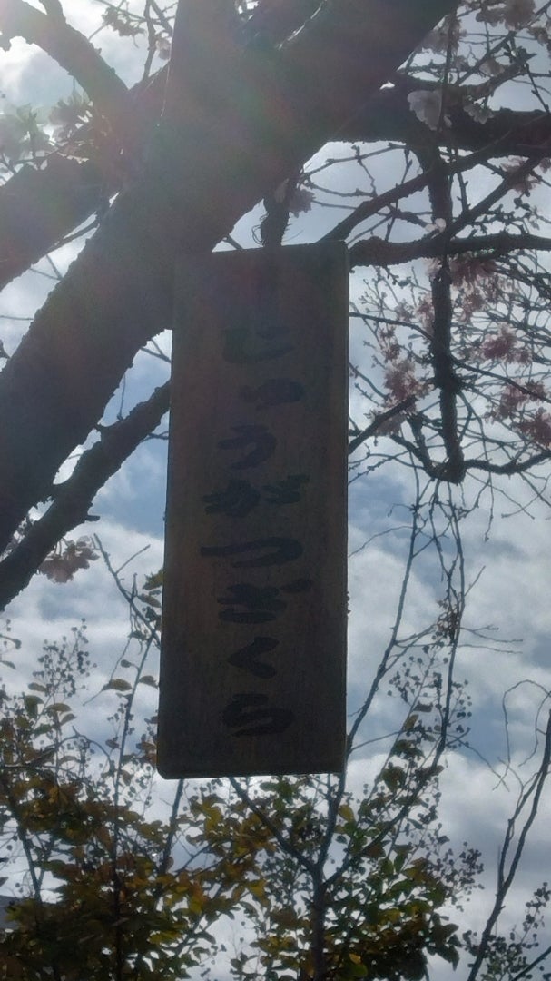 賢さがの記事画像