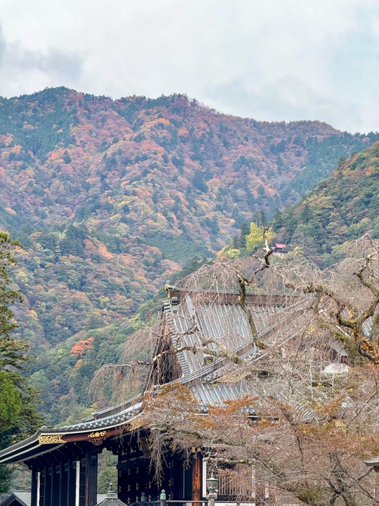 身延山久遠寺 秋の参拝 想像以上に大きなお寺だった! | 名古屋 身延山久遠寺 秋の参拝 想像以上に大きなお寺だった! | 名古屋