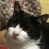 会いたくなる人の画像