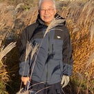 カサカサ、カラカラ、、の記事より