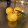 冬至に湯治。って、このダジャレも言い続けて幾年月。20241221。の画像