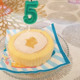 画像 【ノエル通信】我が家の子になって1年•5歳の誕生日を迎えました♡ の記事より 3つ目